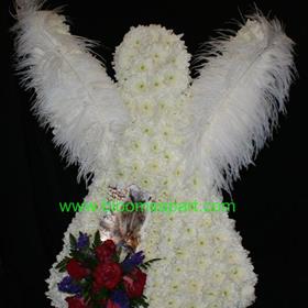fwthumbAngel Ostrich Feather & Picture - DSC03586.jpg